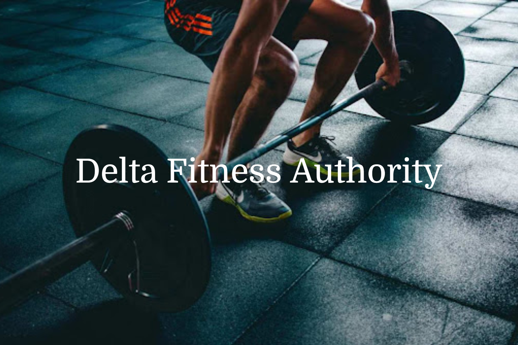 Delta Fitness Authority