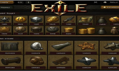 Path Of Exile 2 Currency Store with instant Delivery