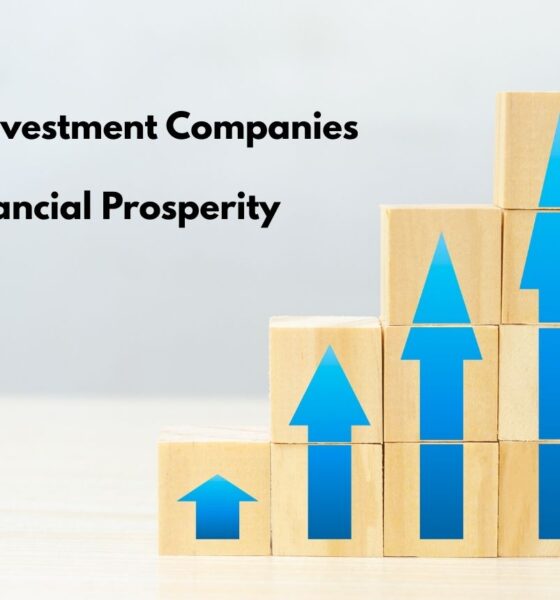 Top-Rated Investment Companies for Wealth Growth