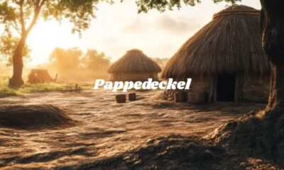 Pappedeckel