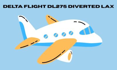 Delta Flight DL275 Diverted LAX
