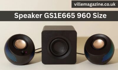 Speaker GS1E665 960 Size
