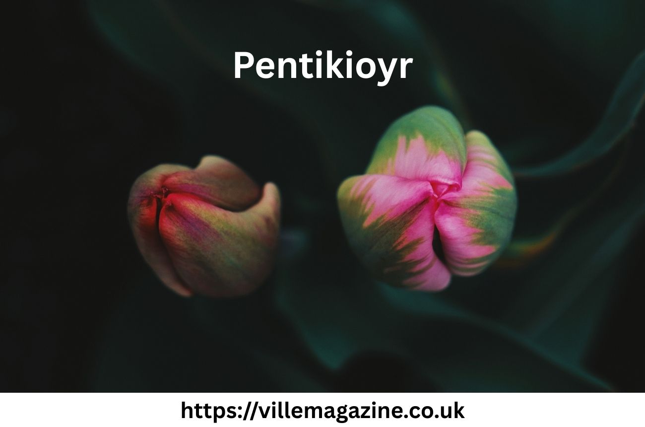 Pentikioyr